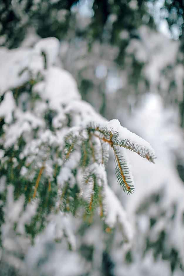 Hotel Schweizerhof Lenzerheide