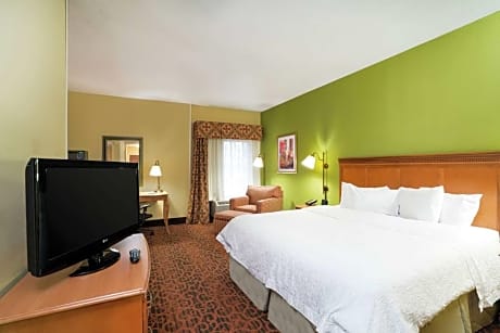 1 King Bed Studio Suite Nonsmoking