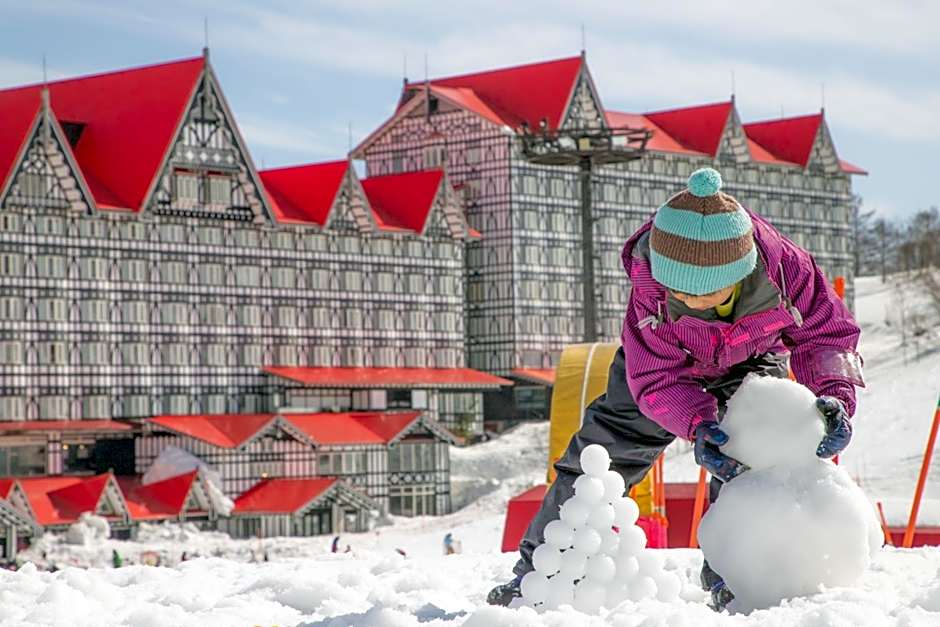 Hotel Green Plaza Hakuba