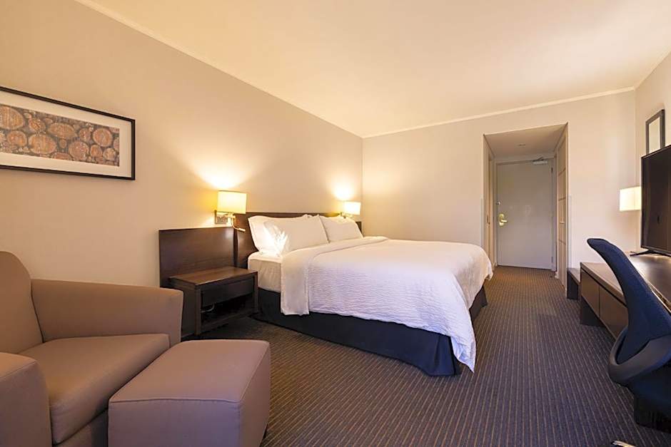 Holiday Inn Express Temuco By IHG