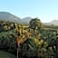 Saridevi Ecolodge