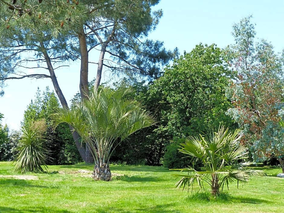 Les Terrasses des Mimosas