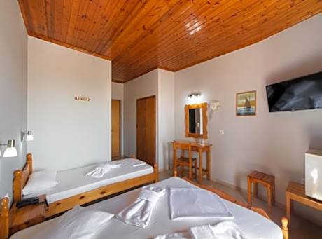 Triple Room with Mountain View