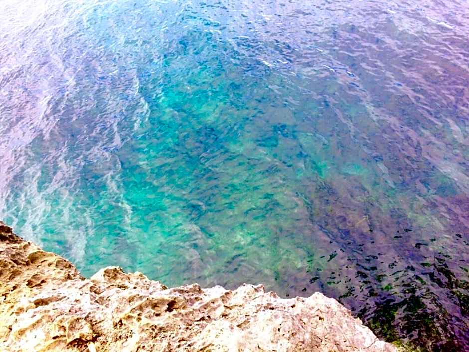 CampSarap Hostel & Resort