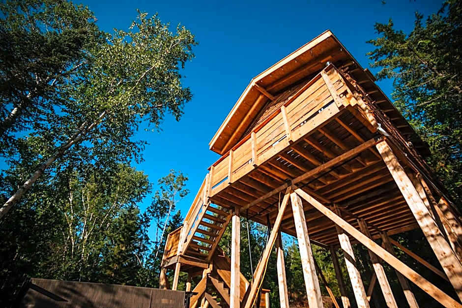 Entre Lemoine et l'arbre