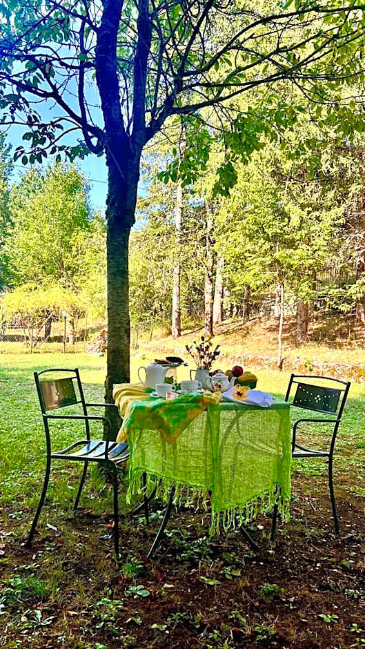 LH Albergo Il Paradiso