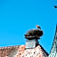 Boutique - Hotel Zum Schloss