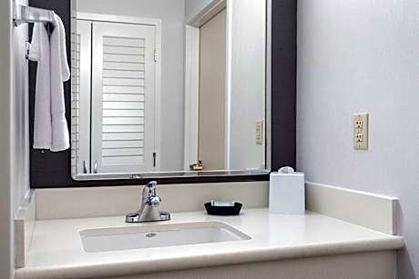 Room, 1 King Bed (Mobility Accessible, Roll-In Shower) (1 King Bed)