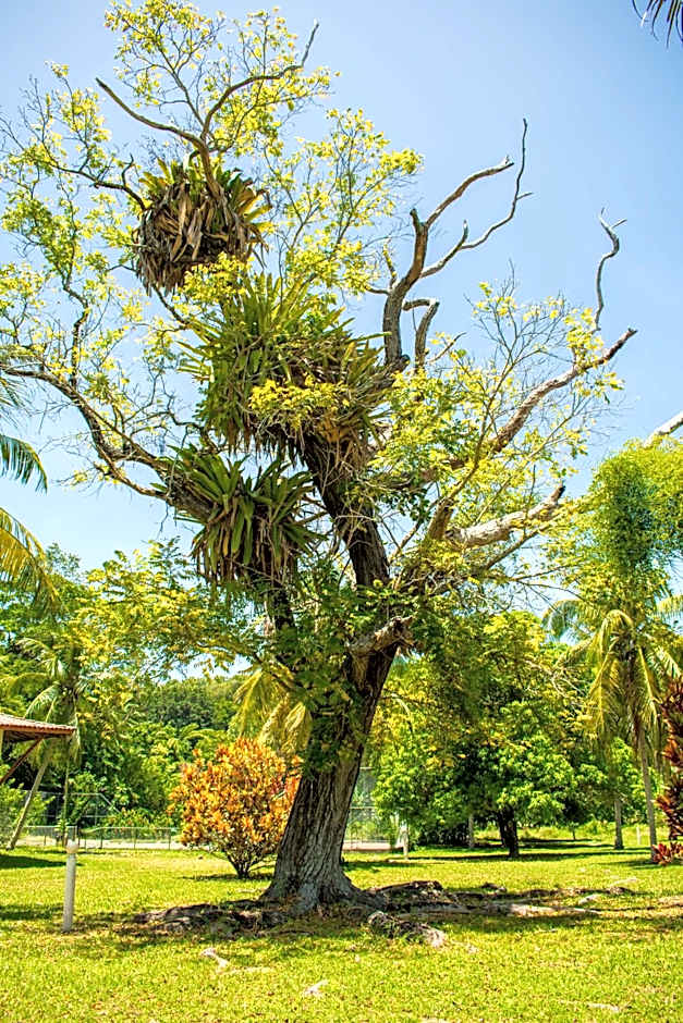 Village Paraíso Tropical
