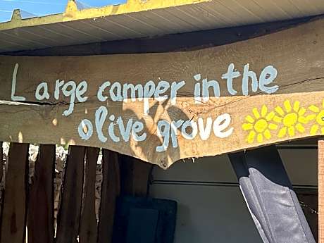 Large camper in the olive grove
