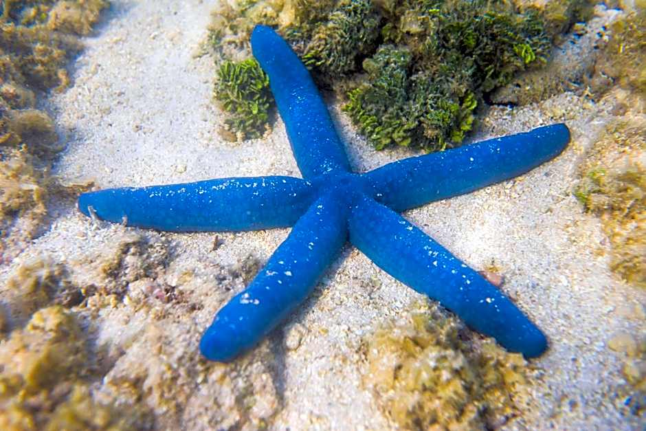 Rumours Luxury Villas & Spa