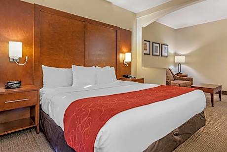 King Suite with Roll-In Shower - Accessible/Non-Smoking