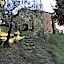Rocca degli Olivi
