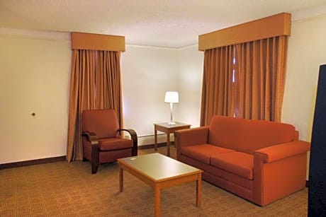 1 King Bed Deluxe Suite Non-Smoking