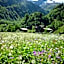 ALPENHOF Mountain Lodge