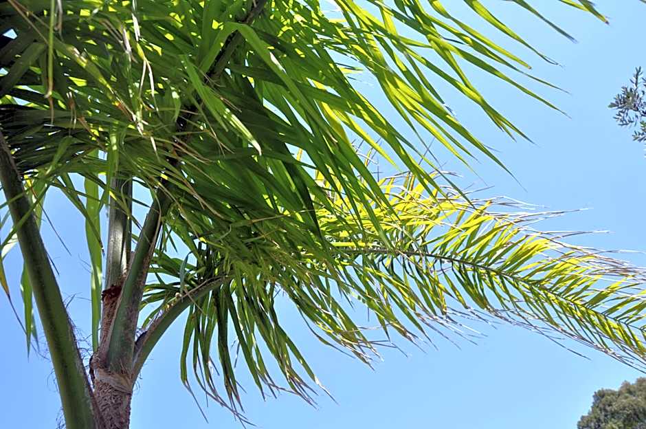 Giardini di Marzo Lecce B&B