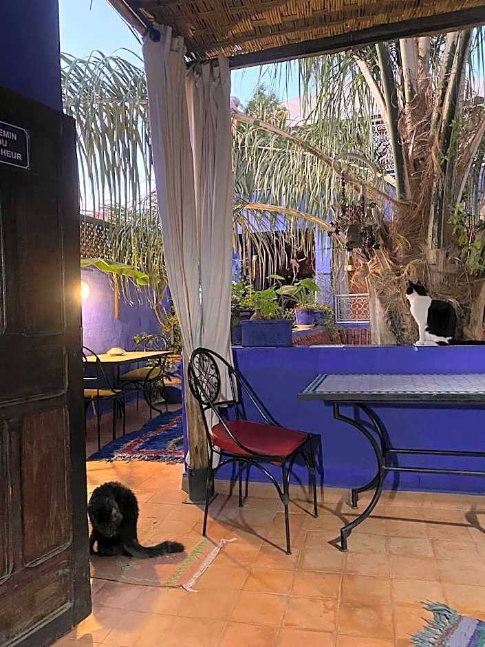 Riad Alamine