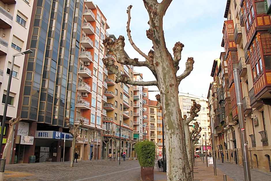 Hotel los Bracos by Silken