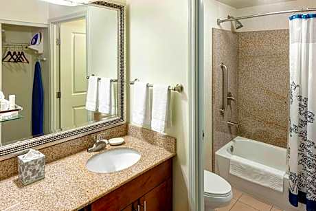 Studio, 1 King Bed with Sofa bed (Hearing Accessible) (1 King Bed and 1 Double Sofa Bed)