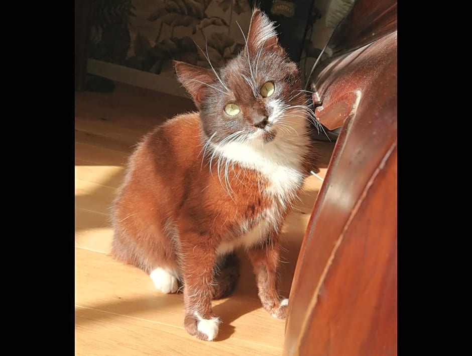 KERBELEG, ferme-manoir du XVè siècle, chambres grand confort