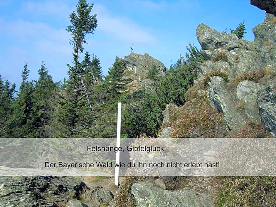 Hotel zur Linde - Bayerischer Wald - aktivCard mit 154 kostenfreien Leistungen - kostenloser Parkplatz