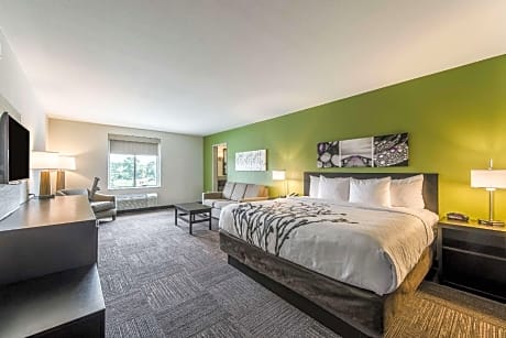 1 King Bed, Suite, Nonsmoking