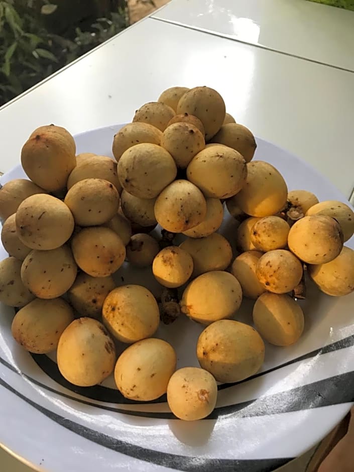 Camiguin KALIMBA DE LUNA INN