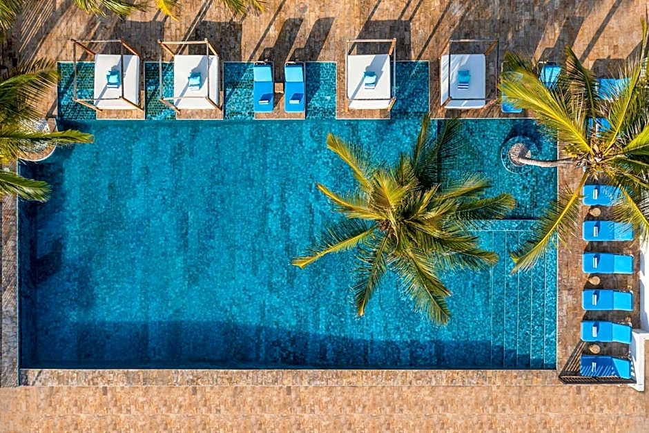 Le Mersenne Zanzibar, Autograph Collection