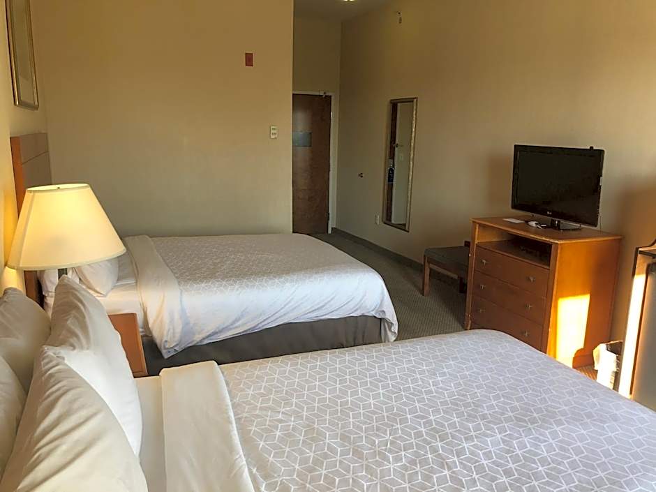 Holiday Inn Express Hotel & Suites Lansing-Dimondale By IHG