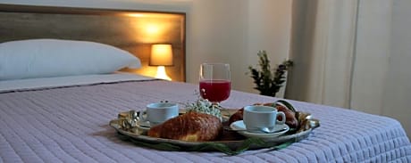 Junior Suite with Terrace