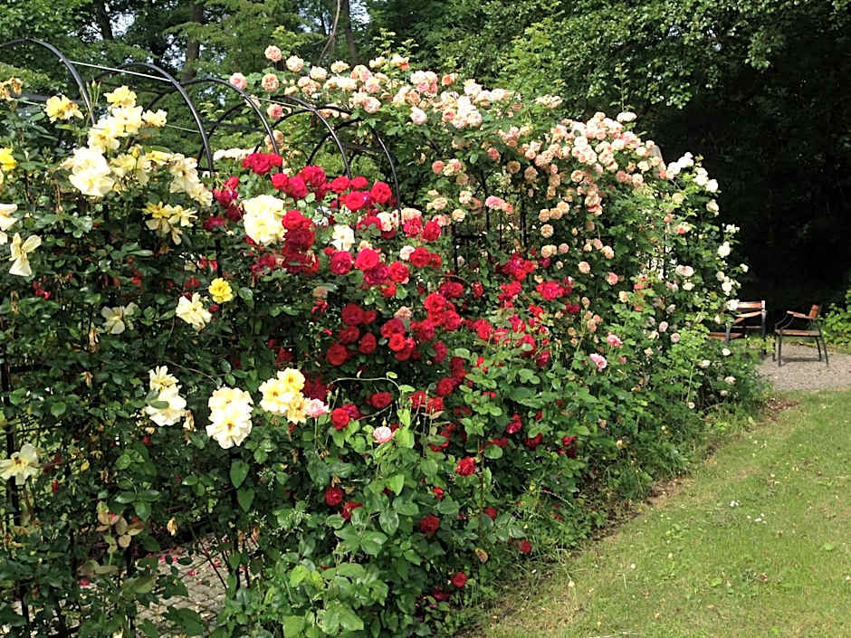 Hotel Willa Starosty