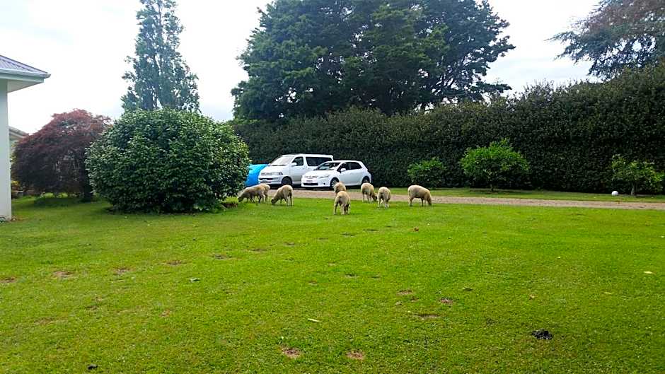 Homestead B&B Cambridge