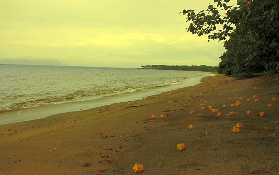 FX72 Beach Resort Maumere