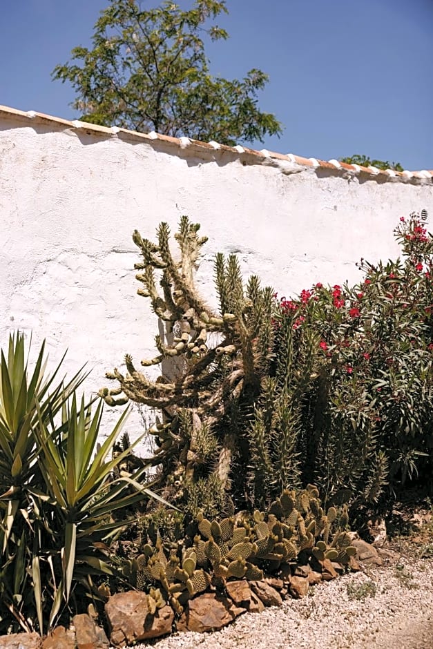 Finca Serrato