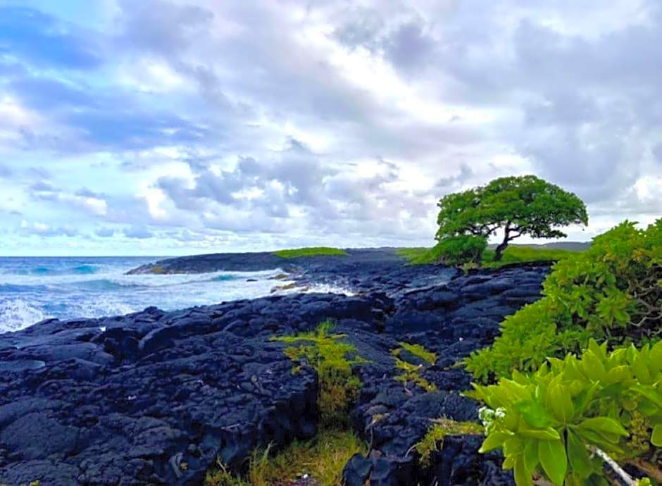 Beachfront 1 Bedroom Condo with Private Beach, Pool, Hot Tub