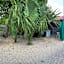 Hostal Casa Maya