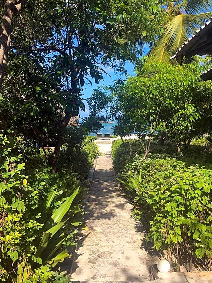 Driftwood Beach Lodge