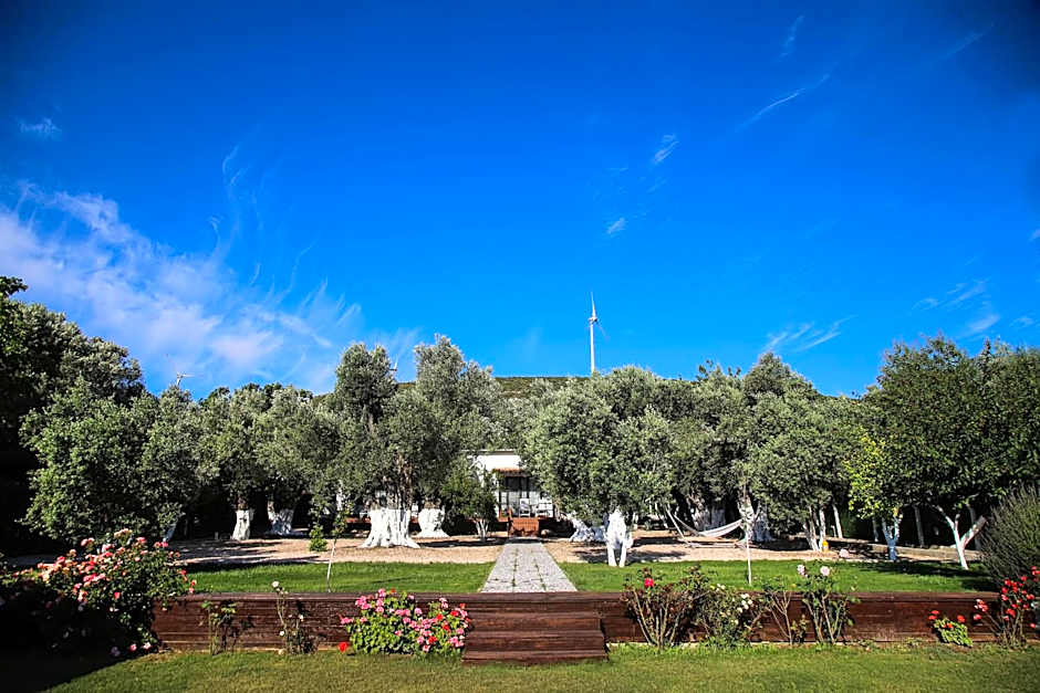 Enki Suess Alaçatı