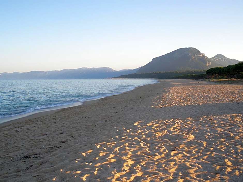 S'Ustiarvu- NUOVA GESTIONE