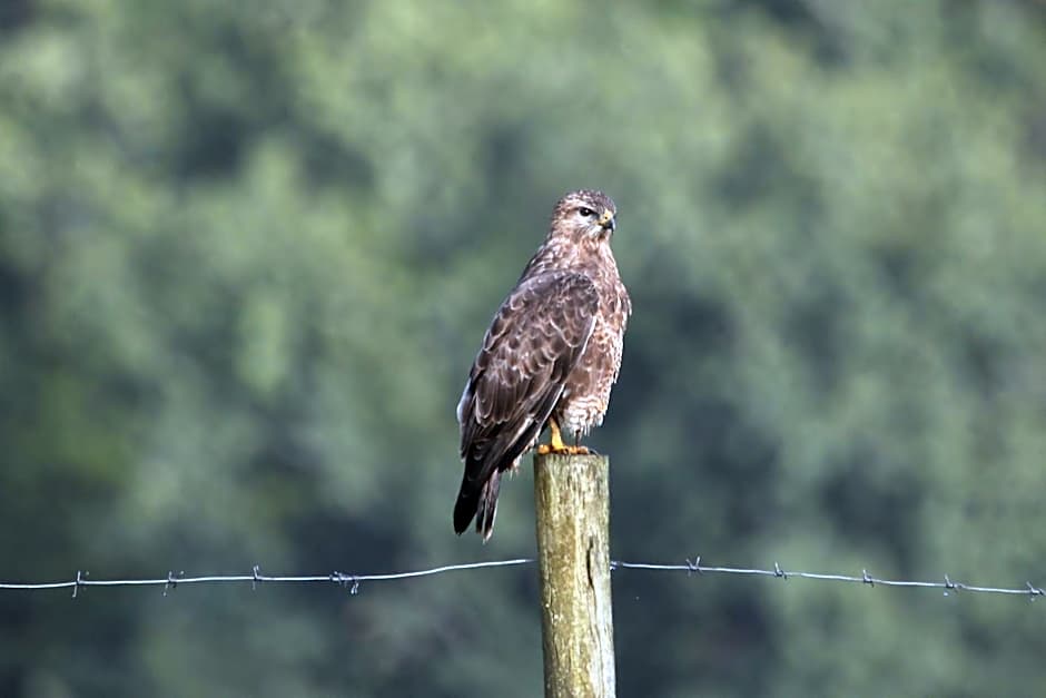 Horseshoe Game Reserve