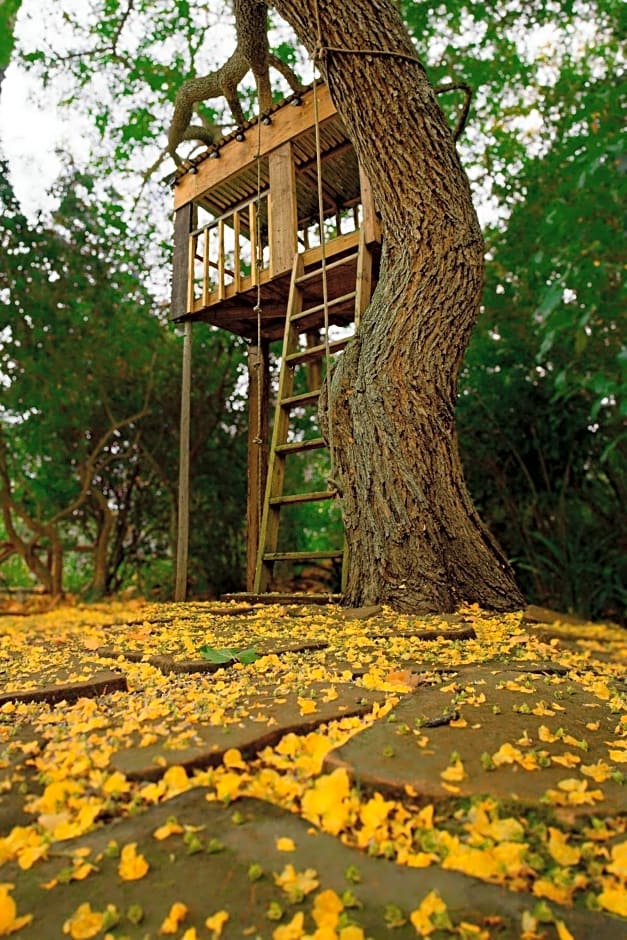 BWHALE guest house B&B