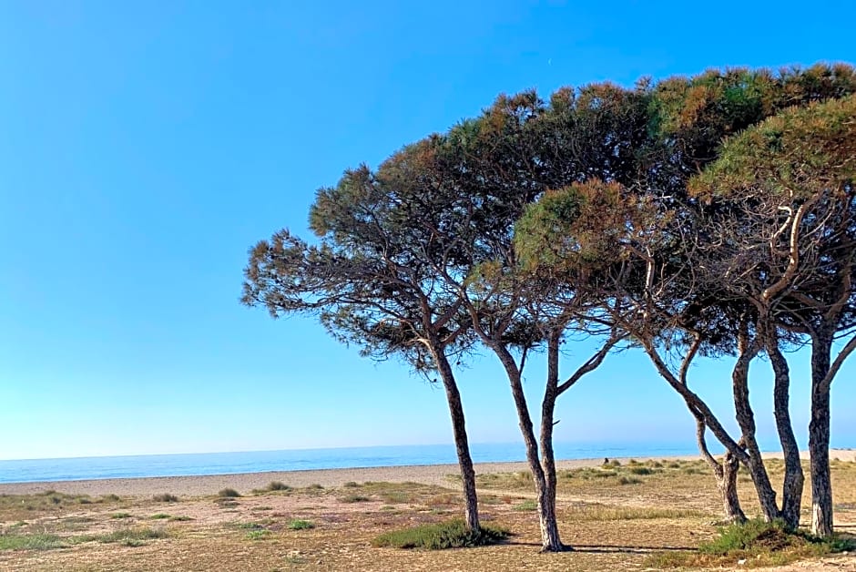 Q-riosity boutique rooms