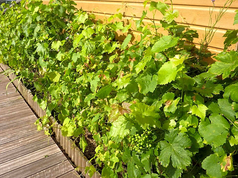 Les Chambres D'oriane