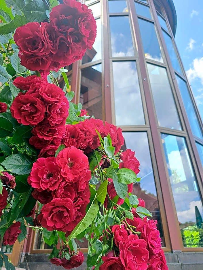 Schlosshotel Weyberhöfe