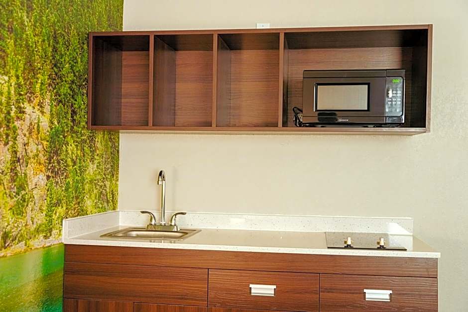 Clarion Pointe - Dillard near Blue Ridge Mountains