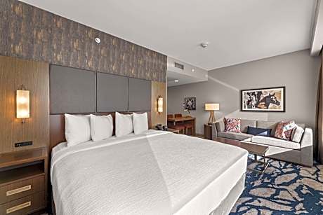 1 King 1 Room Studio Suite Hearing Accessible