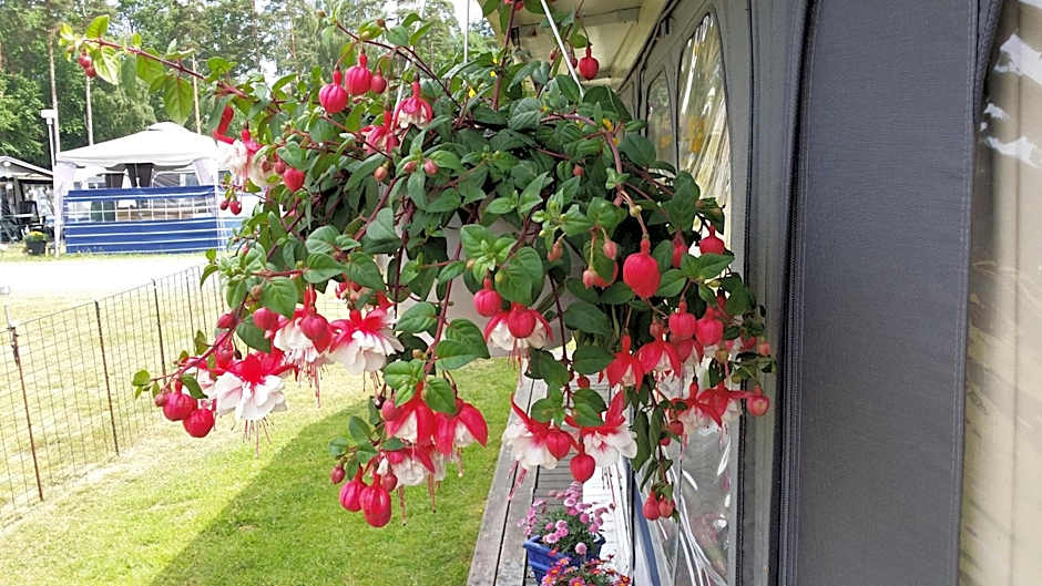 Bromölla Camping o Vandrarhem