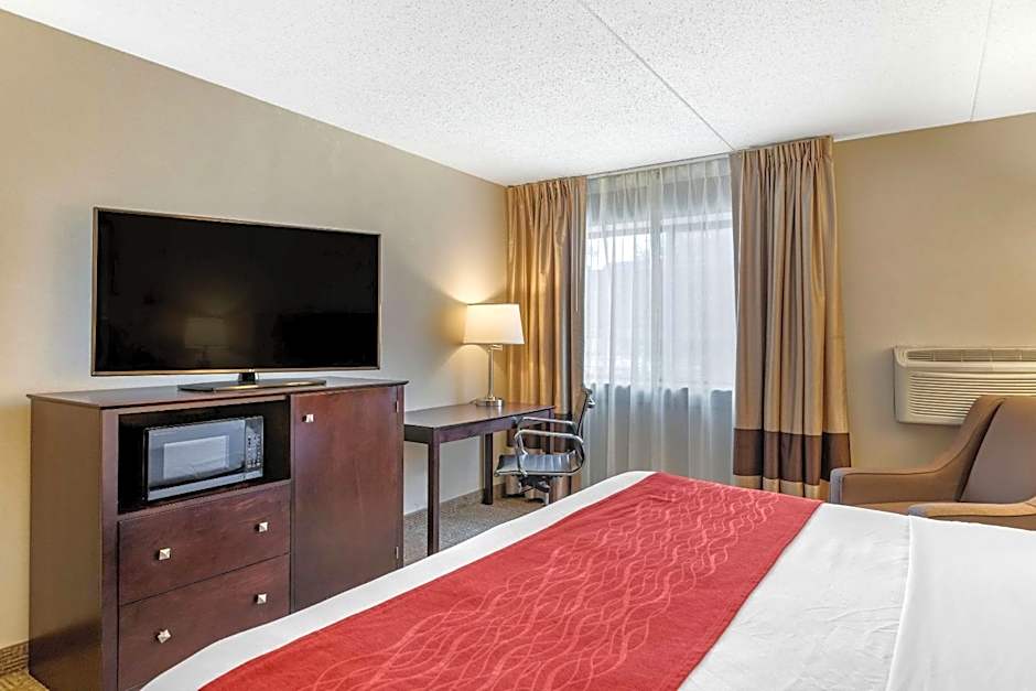 Comfort Inn Lansing West
