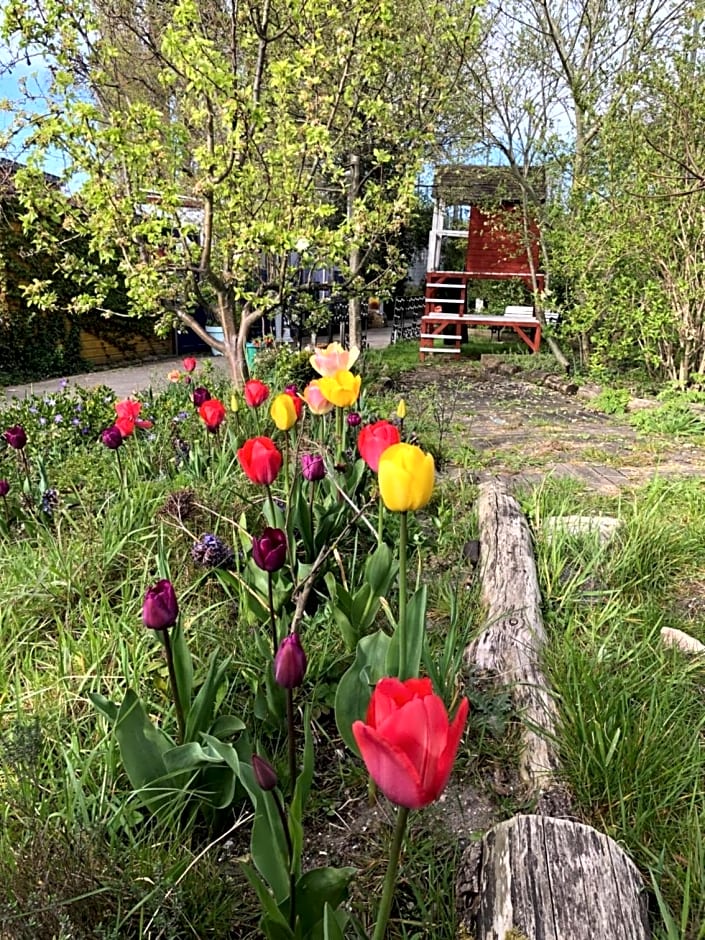 Houseboat apartment with water terrace, free bikes & fast wifi
