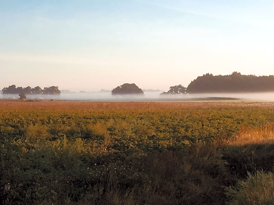 De Distelweide